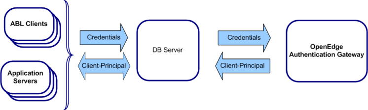 New Authentication Process Model